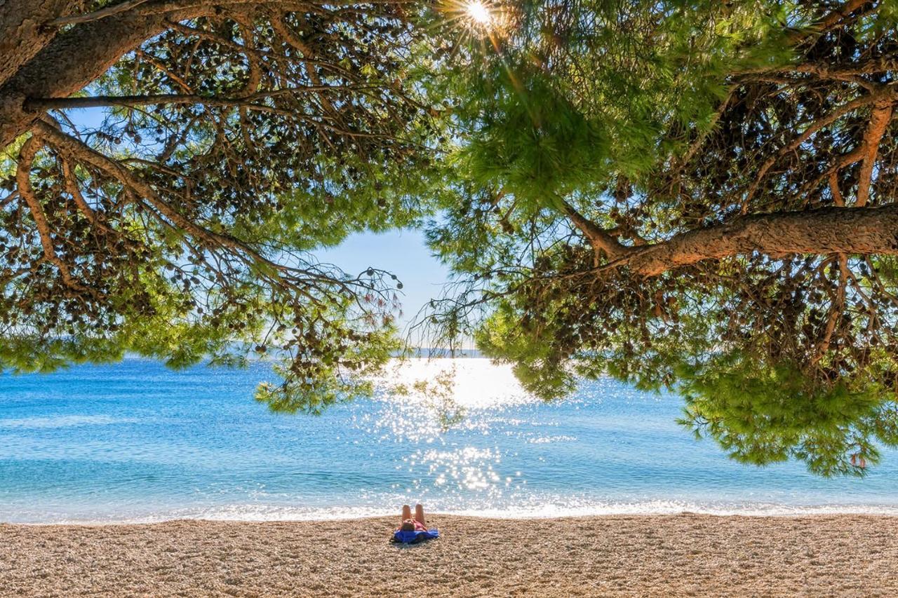 Villa Bougenvilia Tomas Tučepi Εξωτερικό φωτογραφία